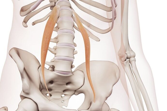 Bizkarrezurreko osteokondrosia lumbar eskualdean gaixotasunaren esentzia